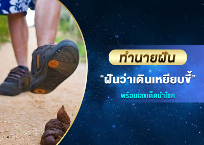 ทำนายฝัน ฝันว่าเดินเหยียบขี้ พร้อมเลขเด็ดนำโชค