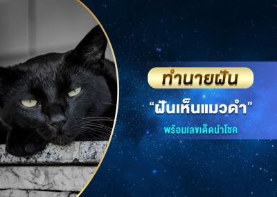ทำนายฝัน ฝันเห็นแมวดำ พร้อมเลขเด็ดนำโชค