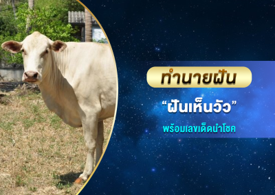 ทำนายฝัน ฝันเห็นวัว พร้อมเลขเด็ดนำโชค