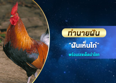 ทำนายฝัน ฝันเห็นไก่ พร้อมเลขเด็ดนำโชค