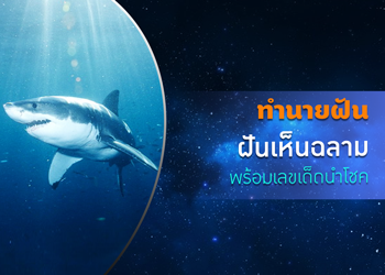 ทำนายฝัน ฝันเห็นฉลาม พร้อมเลขนำโชค