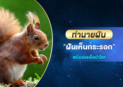 ทำนายฝัน ฝันเห็นกระรอก พร้อมเลขเด็ดนำโชค