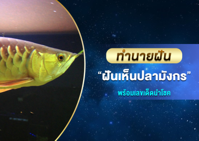 ทำนายฝัน ฝันเห็นปลามังกร พร้อมเลขเด็ดนำโชค