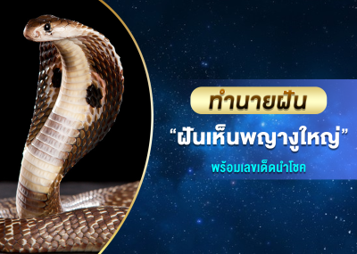 ทำนายฝัน ฝันเห็นพญางูใหญ่ พร้อมเลขเด็ดนำโชค