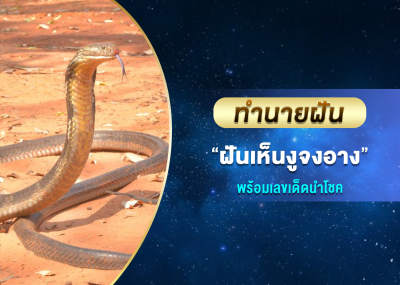 ทำนายฝัน ฝันเห็นงูจงอาง พร้อมเลขเด็ดนำโชค