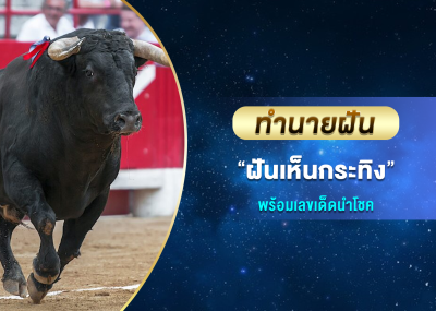 ทำนายฝัน ฝันเห็นกระทิง พร้อมเลขเด็ดนำโชค