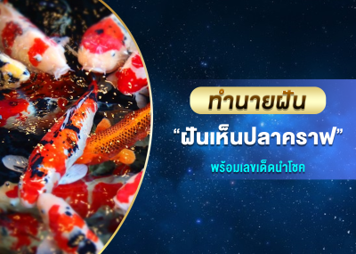 ทำนายฝัน ฝันเห็นปลาคราฟ พร้อมเลขเด็ดนำโชค