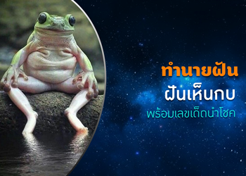 ทำนายฝัน ฝันเห็นกบ พร้อมเลขเด็ดนำโชค