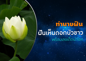 ทำนายฝัน ฝันเห็นดอกบัวขาว พร้อมเลขเด็ดนำโชค