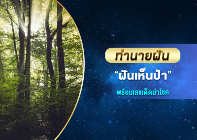 ทำนายฝัน ฝันเห็นป่า พร้อมเลขเด็ดนำโชค
