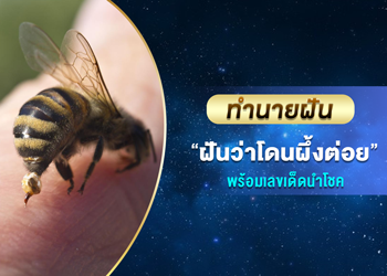 ทำนายฝัน ฝันว่าโดนผึ้งต่อย พร้อมเลขเด็ดนำโชค