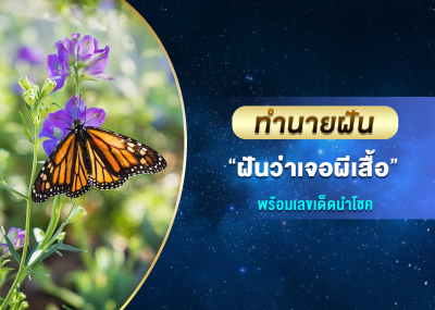 ทำนายฝัน ฝันว่าเจอผีเสื้อ พร้อมเลขเด็ดนำโชค