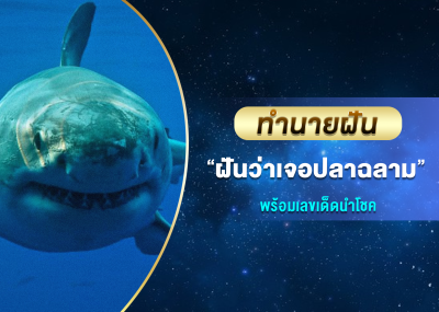 ทำนายฝัน ฝันว่าเจอปลาฉลาม พร้อมเลขเด็ดนำโชค