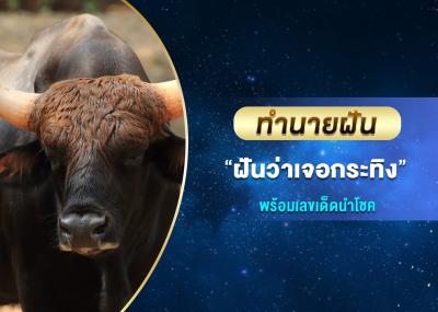 ทำนายฝัน ฝันว่าเจอกระทิง พร้อมเลขเด็ดนำโชค