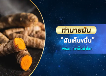 ทำนายฝัน ฝันเห็นขมิ้น พร้อมเลขนำโชค