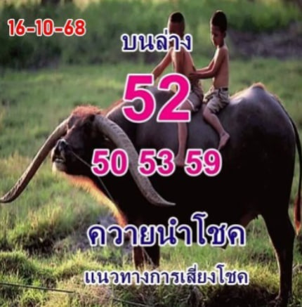 หวยควายนำโชค