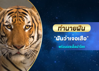 ทำนายฝัน ฝันว่าเจอเสือ พร้อมเลขเด็ดนำโชค