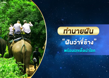 ทำนายฝัน ฝันว่าขี่ช้าง พร้อมเลขนำโชค