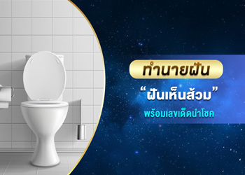 ทำนายฝัน ฝันเห็นส้วม พร้อมเลขนำโชค
