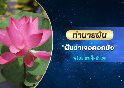 ทำนายฝัน ฝันว่าเจอดอกบัว พร้อมเลขเด็ดนำโชค