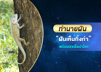 ทำนายฝัน ฝันเห็นกิ้งก่า พร้อมเลขนำโชค