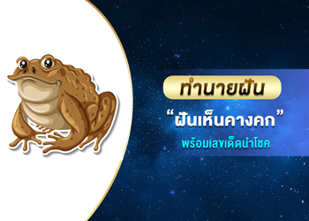 ทำนายฝัน ฝันเห็นคางคก พร้อมเลขนำโชค