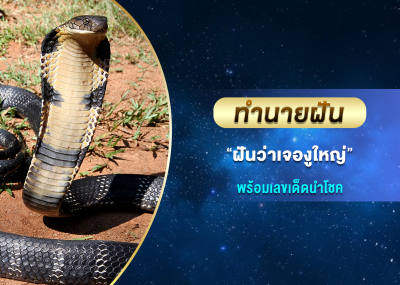 ทำนายฝัน ฝันว่าเจองูใหญ่ พร้อมเลขเด็ดนำโชค