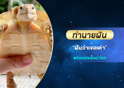 ทำนายฝัน ฝันว่าเจอเต่า พร้อมเลขเด็ดนำโชค