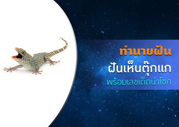 ทำนายฝัน ฝันเห็นตุ๊กแก พร้อมเลขเด็ดนำโชค