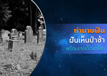 ทำนายฝัน ฝันเห็นป่าช้า พร้อมเลขเด็ดนำโชค