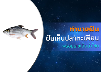 ทำนายฝัน ฝันเห็นปลาตะเพียน พร้อมเลขเด็ดนำโชค