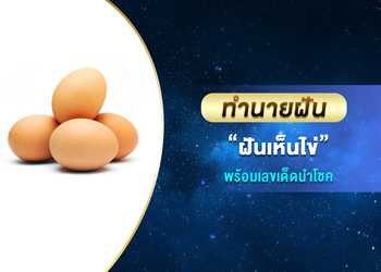 ทำนายฝัน ฝันเห็นไข่ พร้อมเลขนำโชค