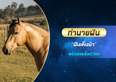 ทำนายฝัน ฝันเห็นม้า พร้อมเลขเด็ดนำโชค