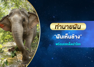ทำนายฝัน ฝันเห็นช้าง พร้อมเลขเด็ดนำโชค