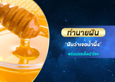 ทำนายฝัน ฝันว่าเจอน้ำผึ้ง พร้อมเลขเด็ดนำโชค