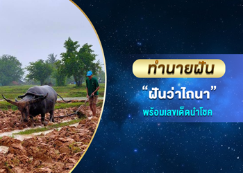 ทำนายฝัน ฝันว่าไถนา พร้อมเลขนำโชค