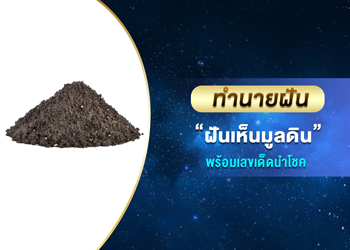 ทำนายฝัน ฝันเห็นมูลดิน พร้อมเลขนำโชค