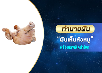 ทำนายฝัน ฝันเห็นหัวหมู พร้อมเลขนำโชค