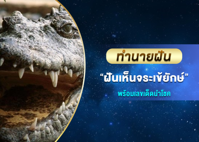 ทำนายฝัน ฝันเห็นจระเข้ยักษ์ พร้อมเลขเด็ดนำโชค