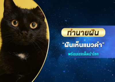 ทำนายฝัน ฝันเห็นแมวดำ พร้อมเลขเด็ดนำโชค