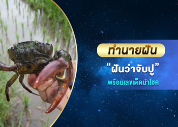ทำนายฝัน ฝันว่าจับปู พร้อมเลขนำโชค