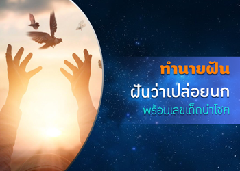 ทำนายฝัน ฝันว่าปล่อยนก พร้อมเลขเด็ดนำโชค