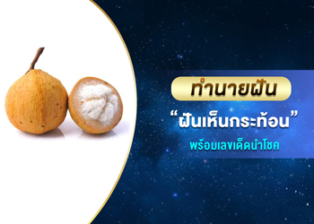 ทำนายฝัน ฝันเห็นกระท้อน พร้อมเลขนำโชค