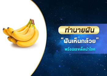ทำนายฝัน ฝันเห็นกล้วย พร้อมเลขนำโชค