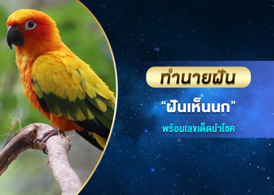 ทำนายฝัน ฝันเห็นนก พร้อมเลขเด็ดนำโชค