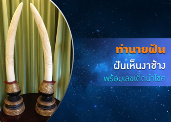 ทำนายฝัน ฝันเห็นงาช้าง พร้อมเลขเด็ดนำโชค