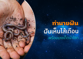 ทำนายฝัน ฝันเห็นไส้เดือน พร้อมเลขเด็ดนำโชค