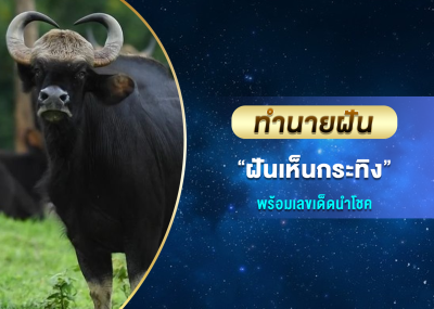 ทำนายฝัน ฝันเห็นกระทิง พร้อมเลขเด็ดนำโชค