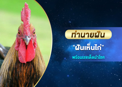 ทำนายฝัน ฝันเห็นไก่ พร้อมเลขเด็ดนำโชค