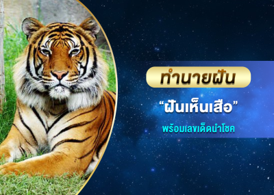 ทำนายฝัน ฝันเห็นเสือ พร้อมเลขเด็ดนำโชค